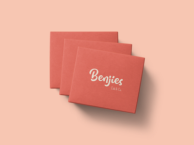 Benjies - Big Box Packaging animation branding design graphic design illustration logo mockup typography ui ux vector webflow
