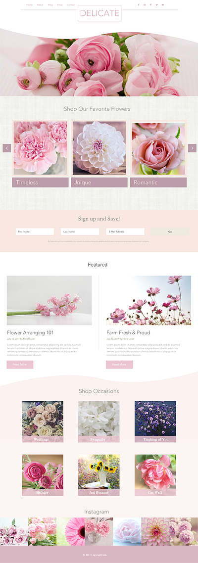 Delicate Theme Mockup design web design