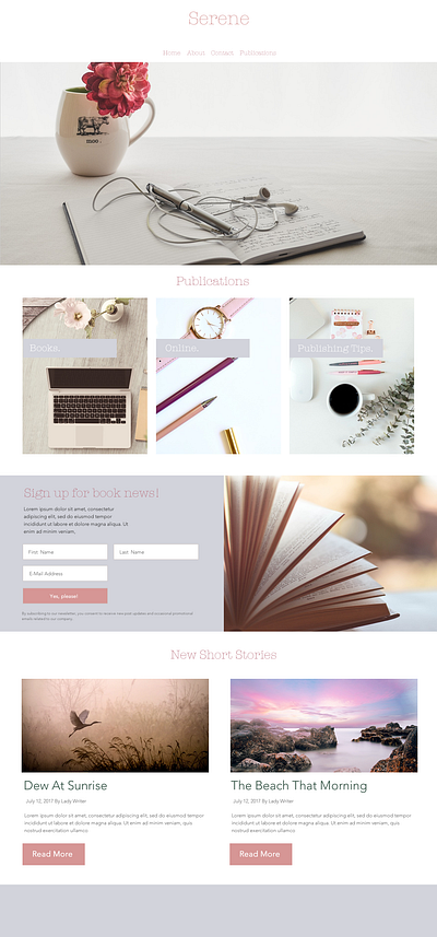 Serene Theme Mockup design web design