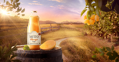 Mango Juice - Image Manipulation design flyer graphic design image image manipulation photo retouch retouching