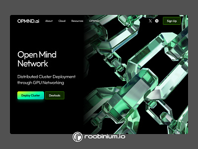 Open Mind Network Landing Page landing web design