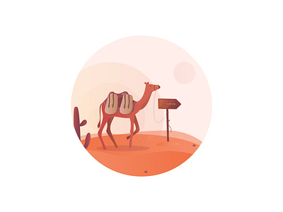 Camel Desert Illustration camel coaching app desert illustration ui vector