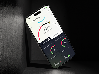 Aella Credit App - Credit Score Dashboard app app design b2b business credit credit score crm dashboard design finance fintech management mobile mobile app product design report saas software ui ux