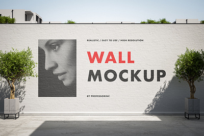 Concrete Wall Mockup Set advertising art branding brutalist clean concrete daylight design graphic design minimalist mockup outdoor plaster showcase signage street street art sunlight template wall