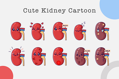 Kidney Character care