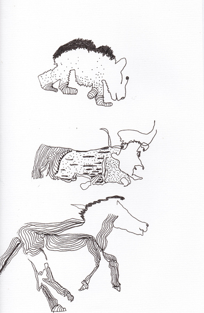 wild animals drawing illustration