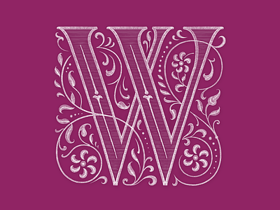 W for International Women's Day calligraphy design hand lettering illustration lettering logo logotype type typography