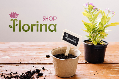 Florina Shop - Identidade visual branding floriculture graphic design logo plants visual identity