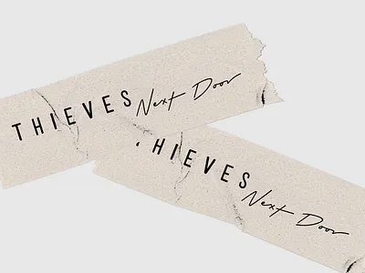Thieves Next Door brand branding design graphic design hand drawn identity illustration logo mark packaging design