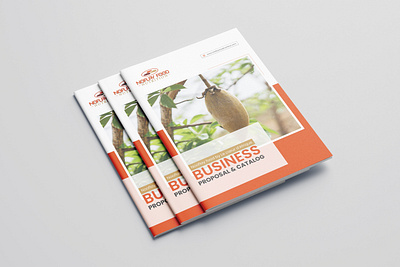 Business Proposal and Catalog design brochure mockup catalogo catalogue proposal