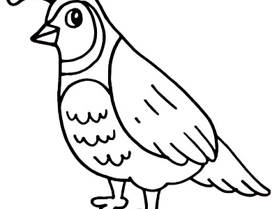 Quail Coloring Pages Download art bird coloring design