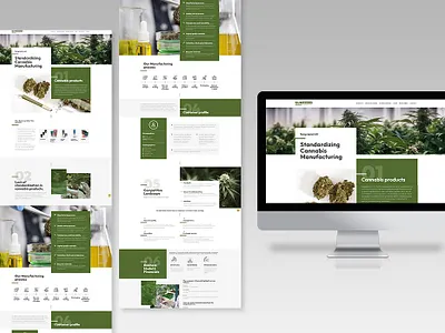 Pitch deck design like landing page on Wordpress design pitch dexk web web design website wordpress