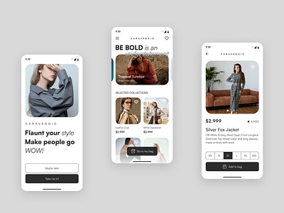 Women's Clothing App Concept