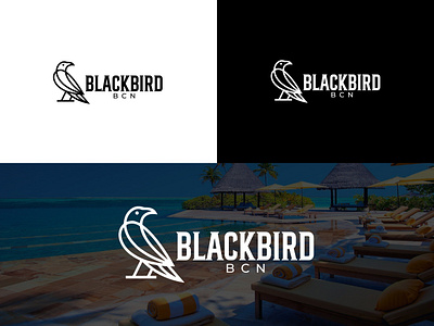 Black Bird logo branding design graphic design illustration logo vector webdesign