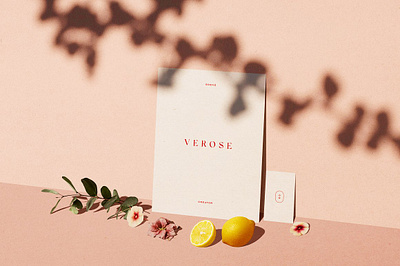 Verose Minimal Scene Creator business card mockup card mockup customizable editable illustration mockup mockup kit presentation print display print mockup product display scene scene creator smart object stationery scene creator template verose � minimal scene creator