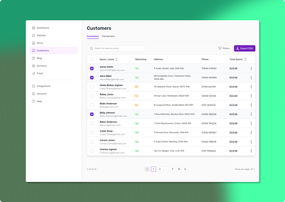 Customer Manager customer manager customers dashboard data design product design table ui ux