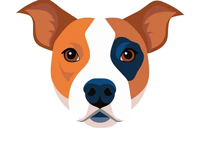 Dog's Emotions 2d 2d animation after effects animation cartoon dog emotions illustration illustrator motion design pet vector