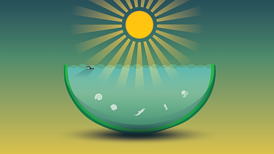 Summer melon fruit illustration summer vector