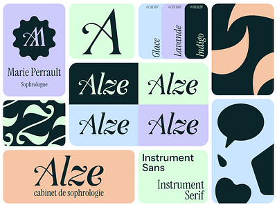 Alze branding graphic design illustration logo typography vector