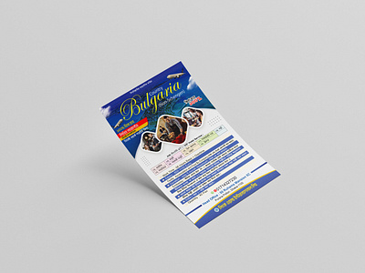 TRAVEL FLYER Size: 8.27 * 11.69 inch Bleed: .125 COLOR MODE: CMY branding design flyer graphic design travels