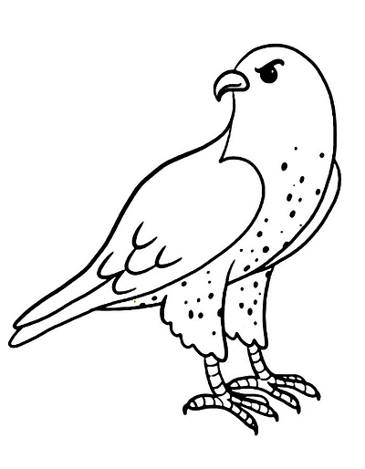 Printable Falcon Coloring Pages For Toddlers coloring falcon