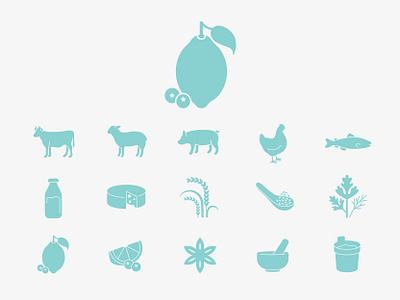 Hello Fresh Icons digital illustrations illustration vector