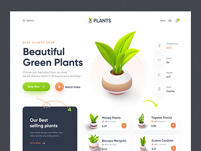 Plants Shop Website ecommerce ecommerce website home page landing lage minimal online selling plants plants ecommerce plants shop plants web design rakib ui ux web app web ui website website design