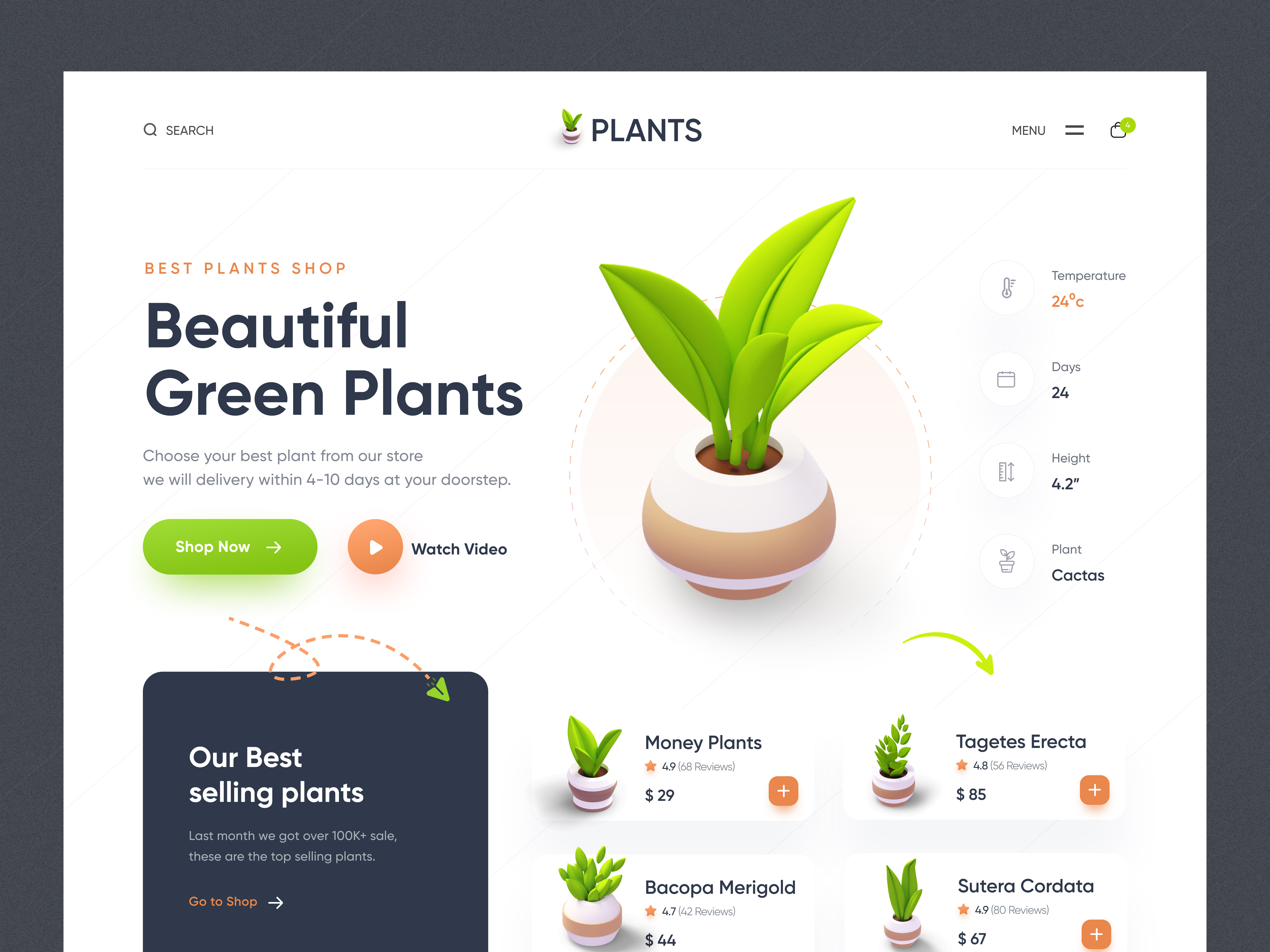 Example of Website Design (1 Landing Page)