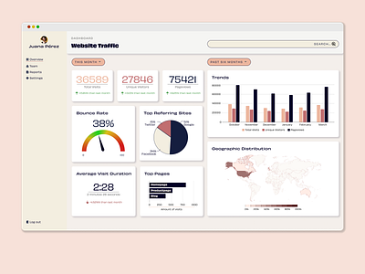 Website Traffic Dashboard Analytics app dashboard digital product graphic design information visualization ui ux web
