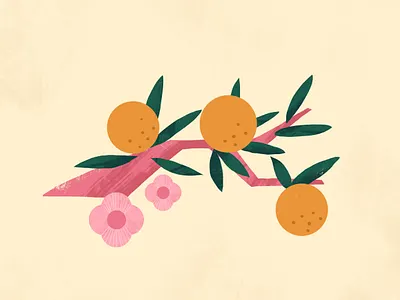 Tangerines design digital art flat flowers illustration illustrator spot illustration tangerines texture