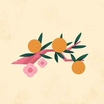 Tangerines design digital art flat flowers illustration illustrator spot illustration tangerines texture