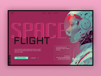 Space Flight design graphic design ui ux webdesighn