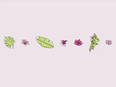 Flowers & Plants bird of paradise design flowers green hibiscus illustration lily line drawing monstera pink poppy pothos