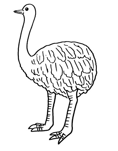 Emu Coloring Pages Printable for Free Download art bird birds coloring design drwaing emu kids line art