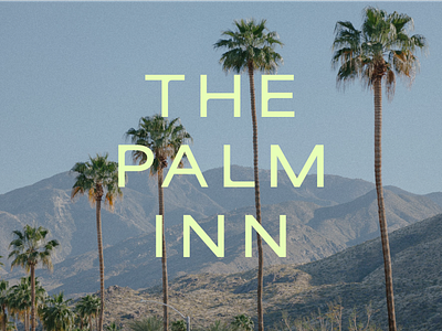 The Palm Inn Wordmark branding palmsprings