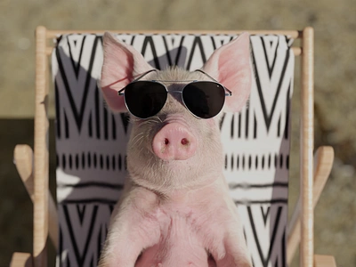 Presenting Sunny Swine: A Realistic Piglet Character 3d anatomy character rigging sculpting