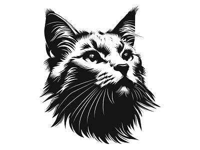 CAT ILLUSTRATION animation cat cat face cat head cat illustration cat vector graphic design logo