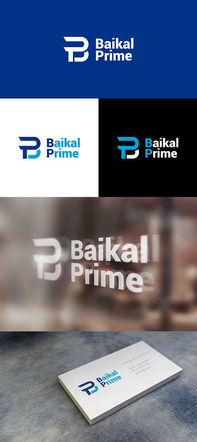 Logo Baikal design logo vector