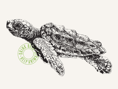 Baby Loggerhead Sea Turtle brewery can design sea turtle