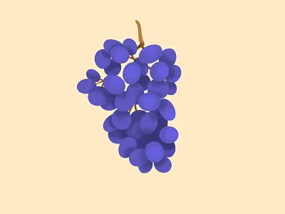 Grape illustration cluster grape grapes illustration juicy label procreate red wine vine vines vineyard wine