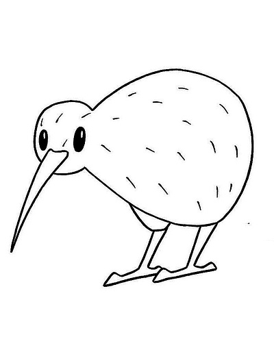 Kiwi Bird Coloring Pages art bird coloring drawing kids kiwi lineart