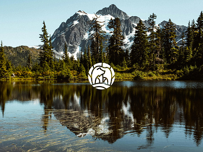 Happy lil Bear adventure athletic bear branding design identity logo minnesota outdoor retail sport