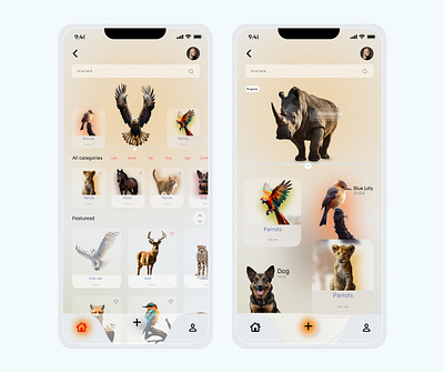 ~Animal's app design appdesign ui