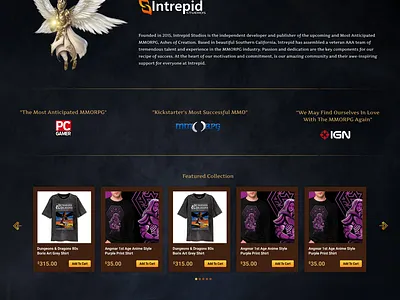 Ashes of Creation store website design (WIP) branding design graphic design graphicdesign ui ux web design