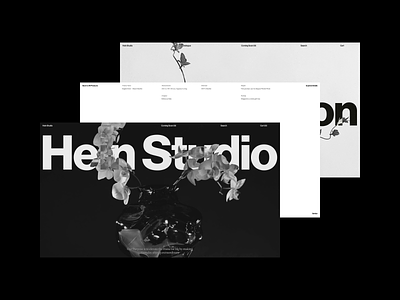 Hein Studio Behance animation behance case design typography ui ux video web website