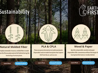 Web Concept biodegradable eco friendly restaurant restaurant supply web design