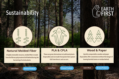 Web Concept biodegradable eco friendly restaurant restaurant supply web design