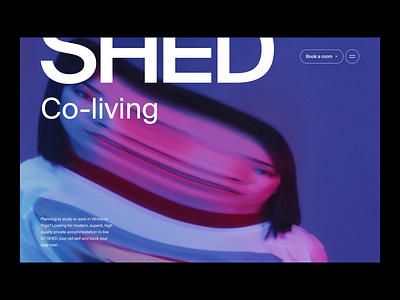 SHED Co-living | Website animation bold branding business creative design graphic design layout logo motion graphics ui ux web design