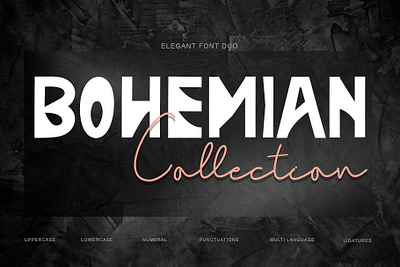 Bohemian Collection beautiful branding design font font design font duo graphic design handwritten illustration logo ui