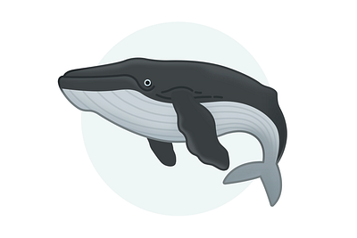 Humpback whale assetstore game icon illustration layerlab whale